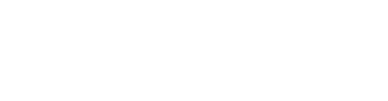 Logo Net.com